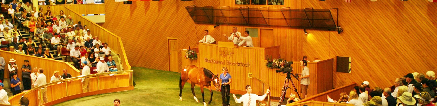 nearco_stud_significant_sales_result2_banner